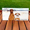 Growing Old - Dog Lover Card